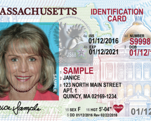 Buy Driving License of Findland