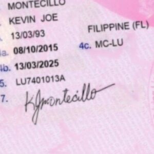 Apply For Italian Drivers License