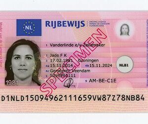 Buy Netherlands Driver's License