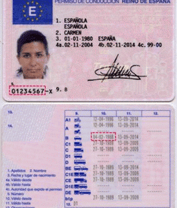 Spanish Driver's License